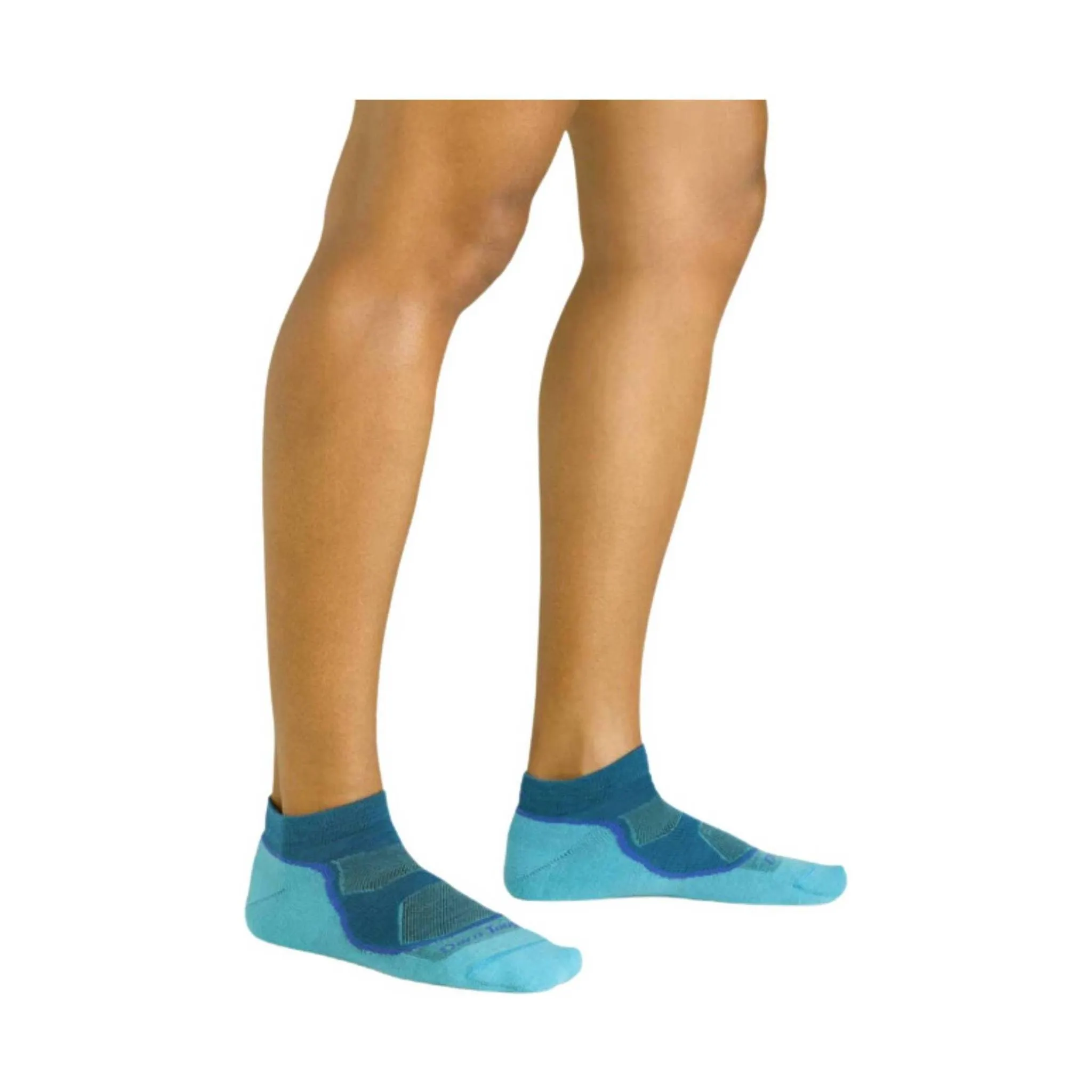 Darn Tough Vermont Women's No Show Lightweight Socks - Cascade