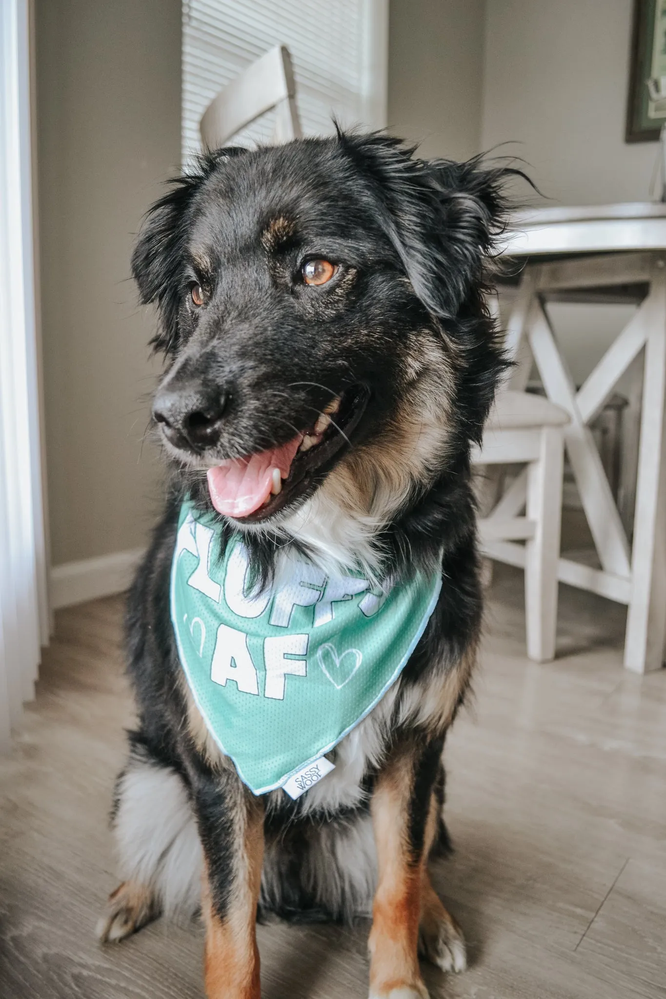 Dog Bandana - Fluffy AF