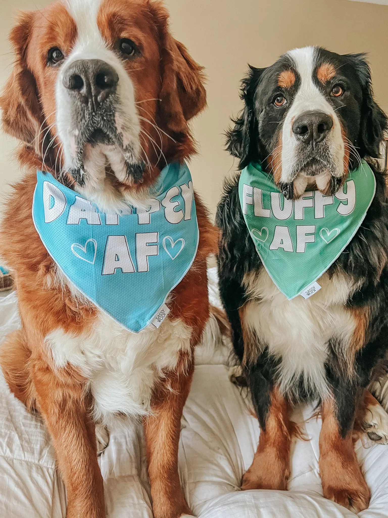 Dog Bandana - Fluffy AF