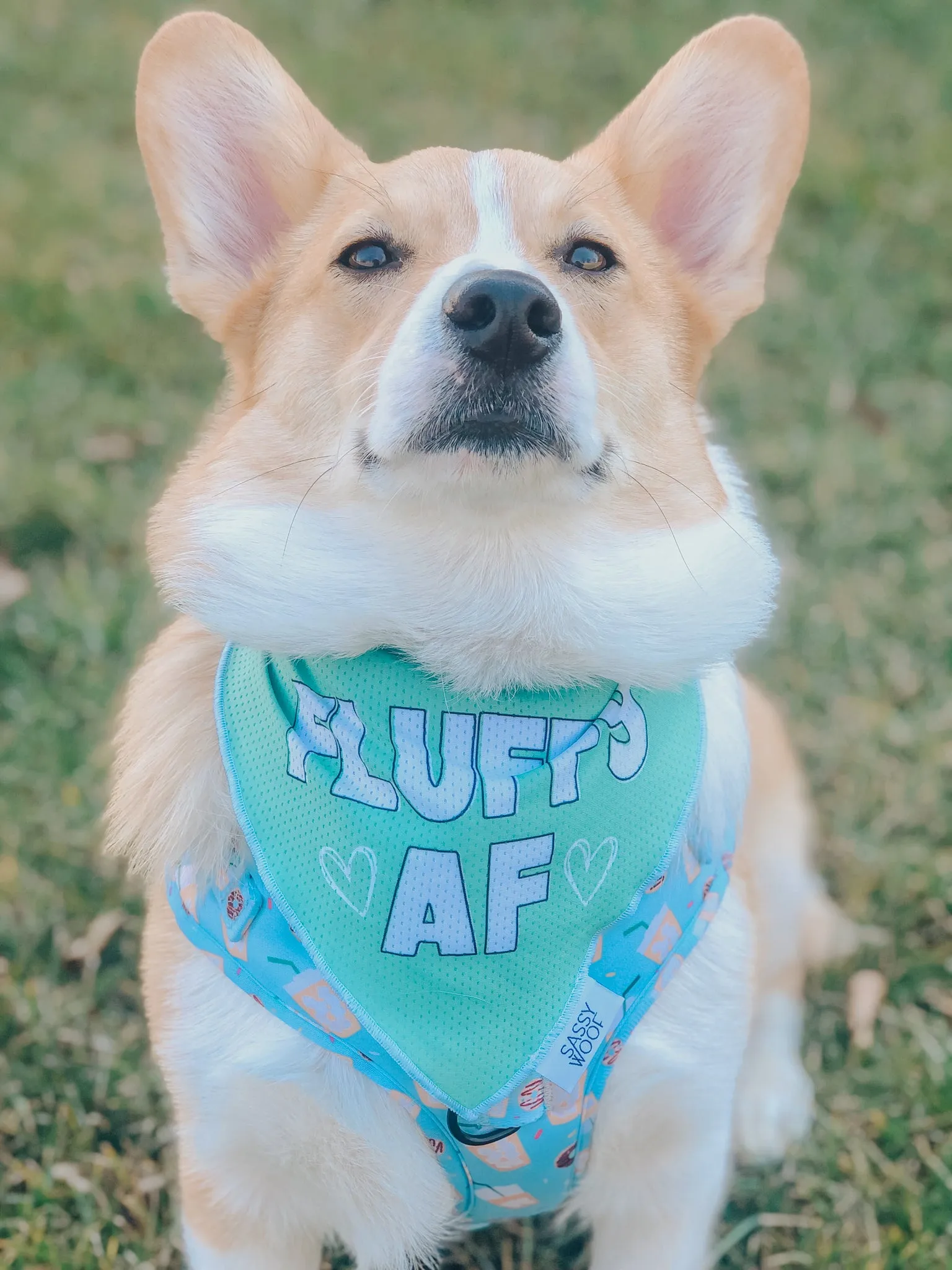 Dog Bandana - Fluffy AF