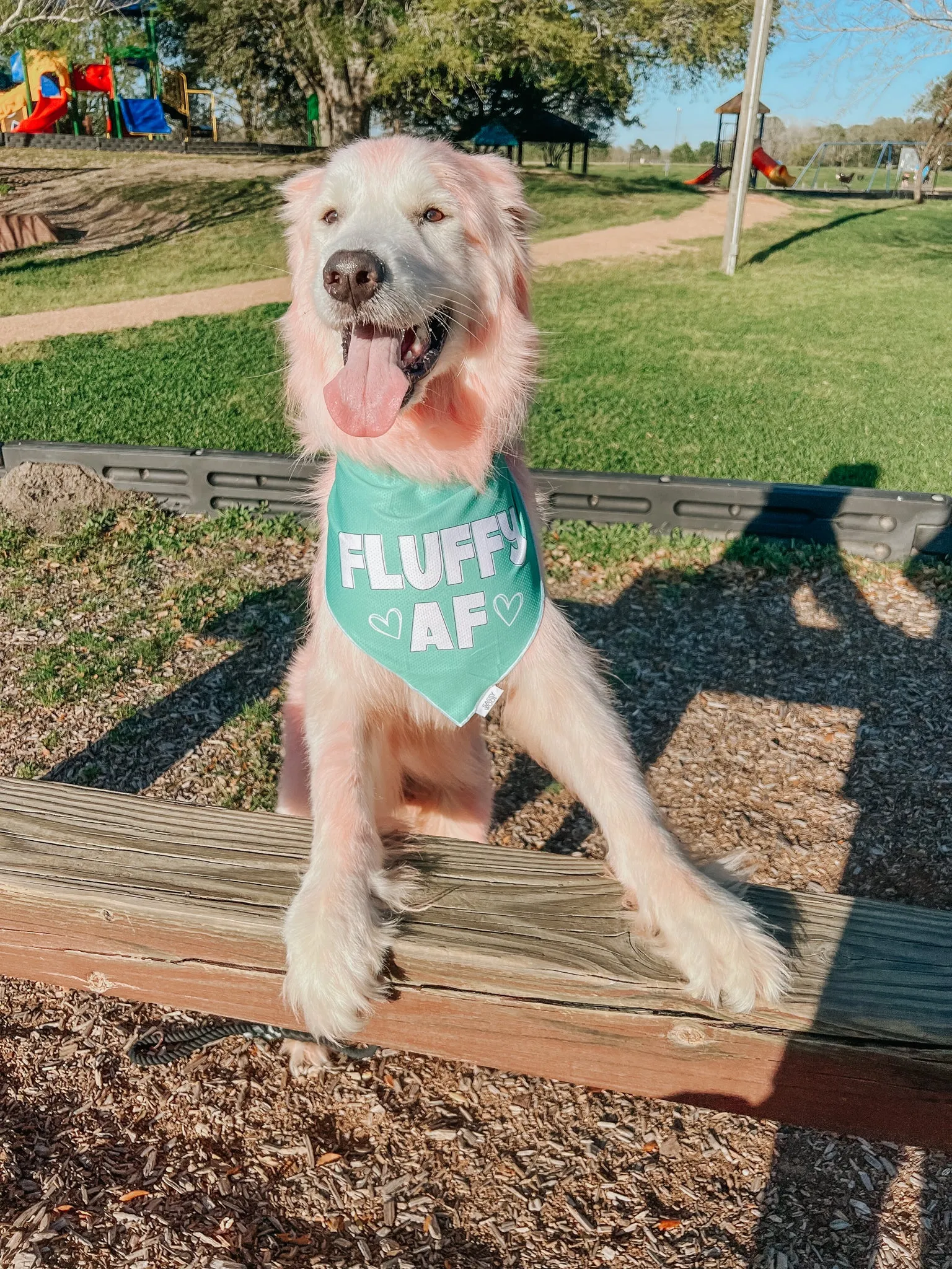 Dog Bandana - Fluffy AF