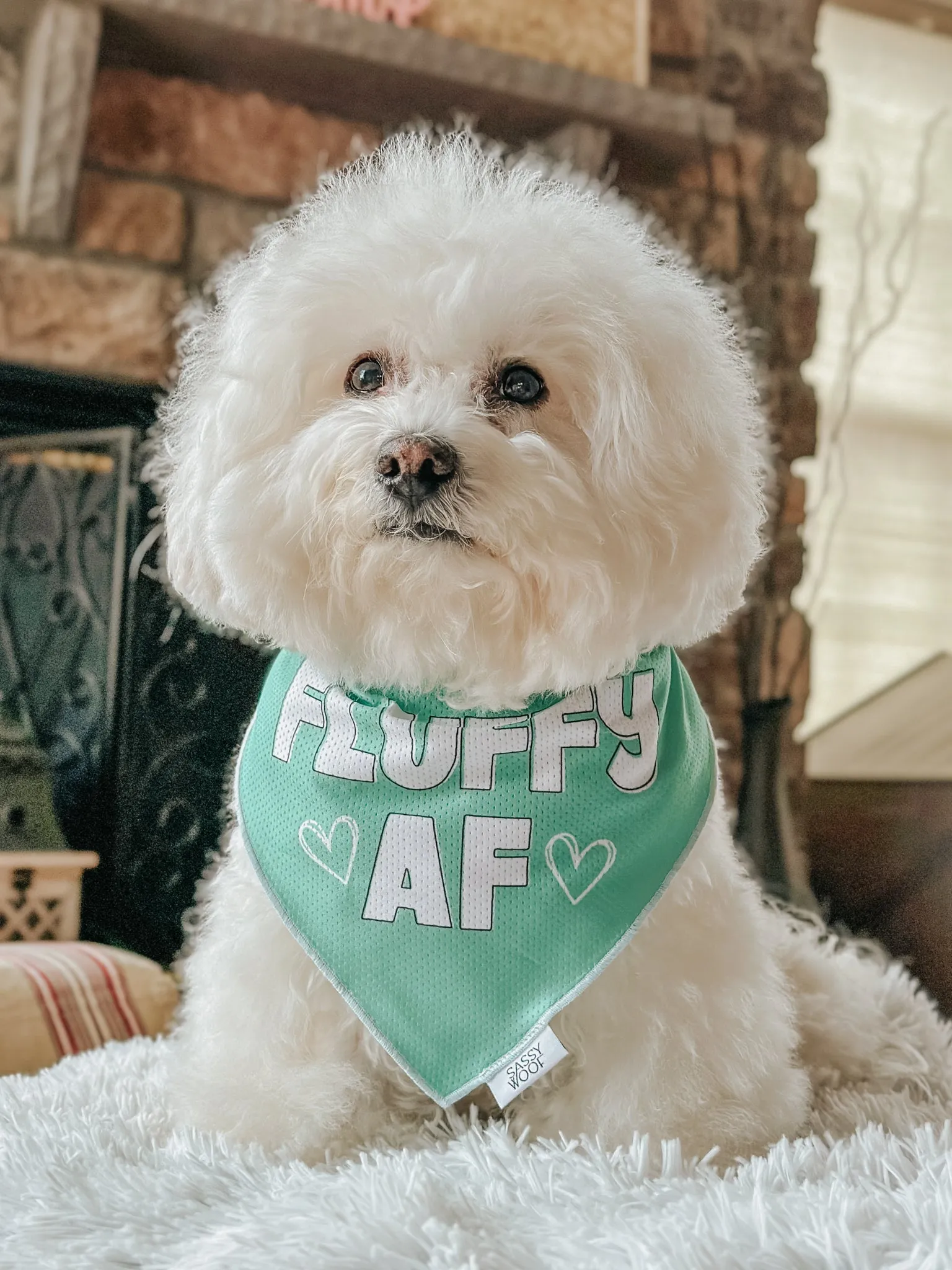 Dog Bandana - Fluffy AF