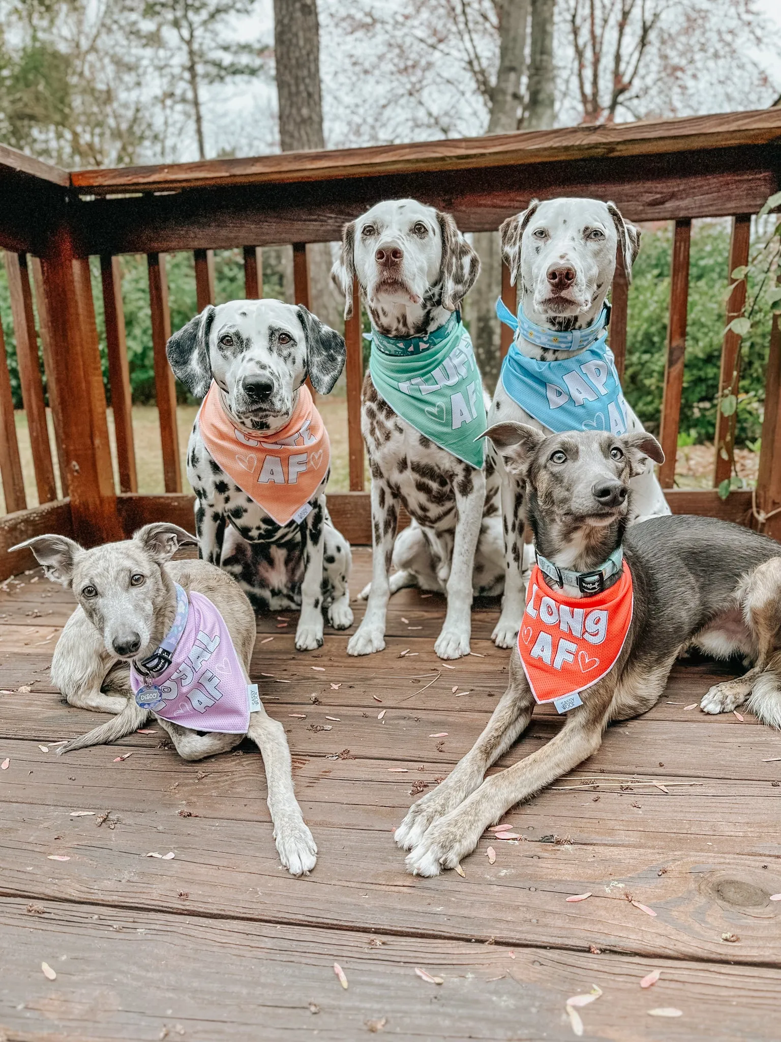 Dog Bandana - Fluffy AF