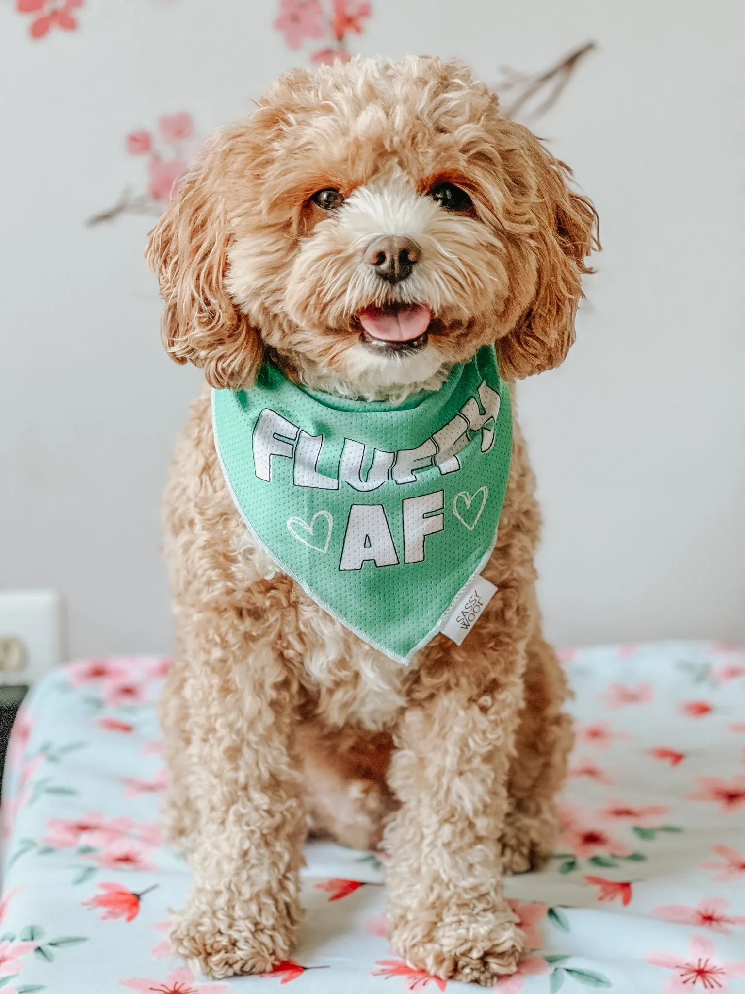 Dog Bandana - Fluffy AF