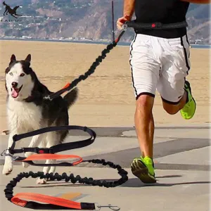 Elastic Running Dog Leash with Waist Belt