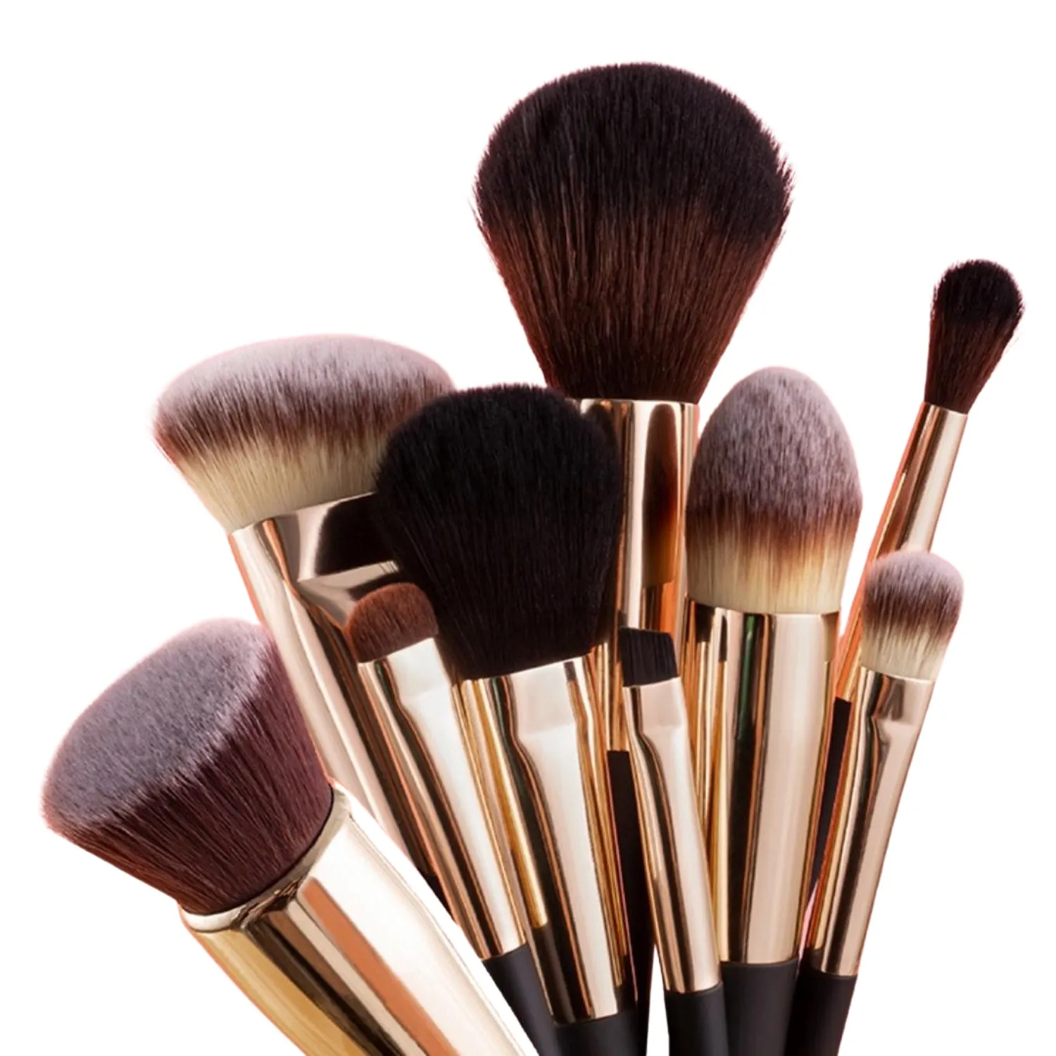 Fancii Aria 12-piece Makeup Brush Set