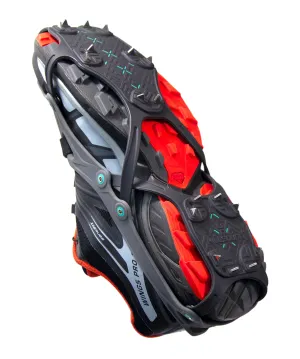 FlexSteps™ Crampons