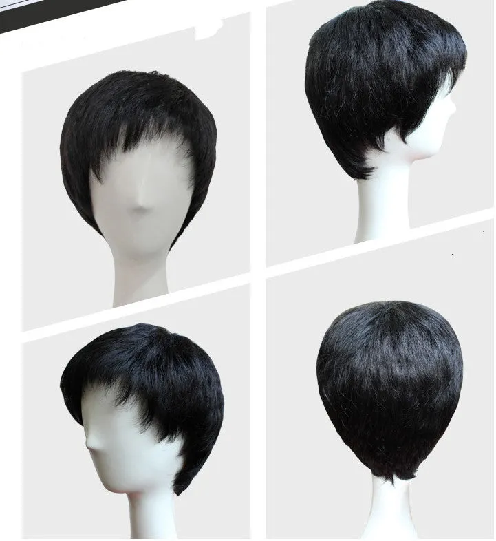 Fluffy Short Hair Wig for Males