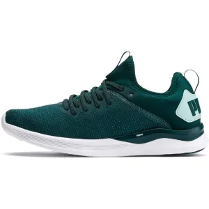 Puma Womens Ignite Flash Evoknit SR WN's Ponderosa Pine-Fair Aqua Running Shoe - 6.5 UK (19245701)